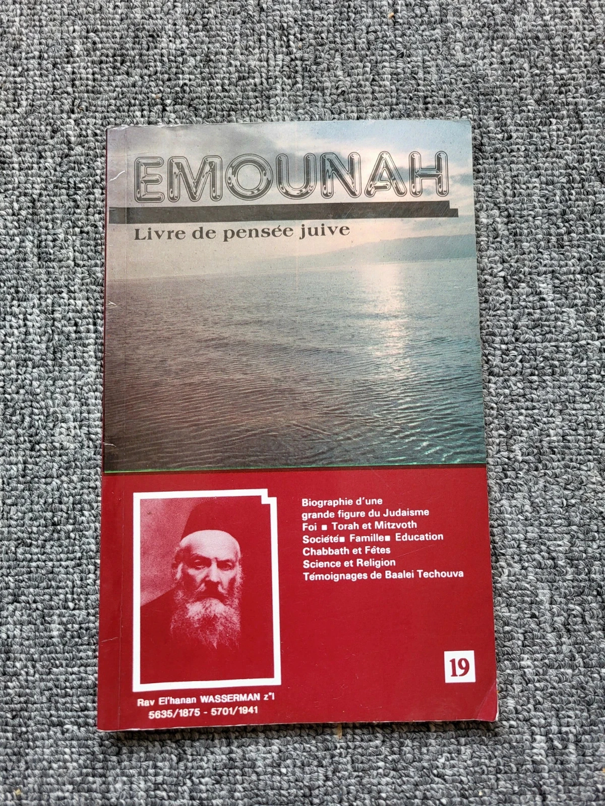 Livre Emounah n°19 Pensée Juive Rav El'hanan Wasserman Judaïsme Torah